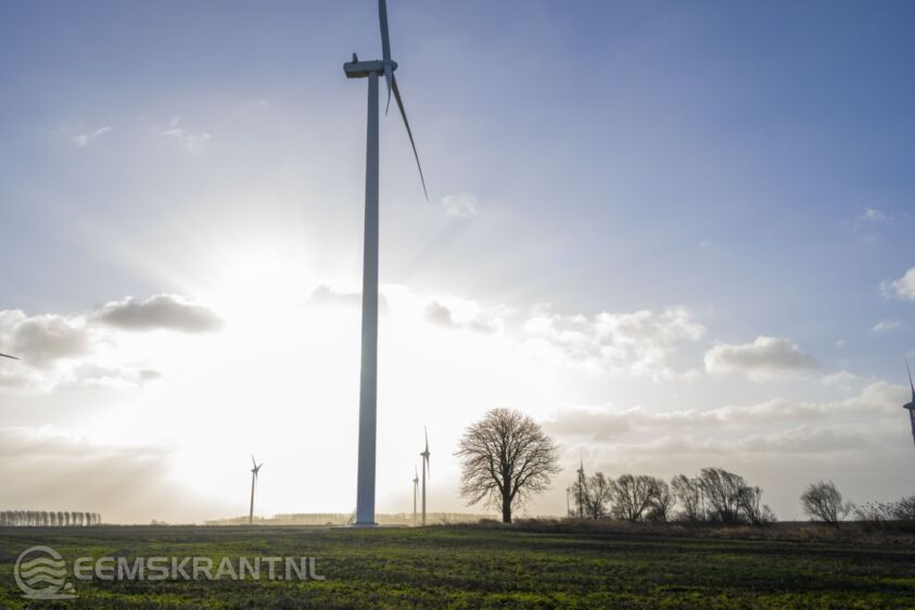 kastanjeboom tussen de windturbines.