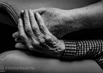 Photo by Gert Stockmans on Unsplash