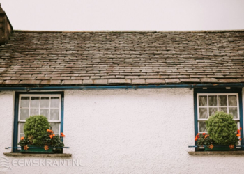 Photo by Nanda Green on Unsplash