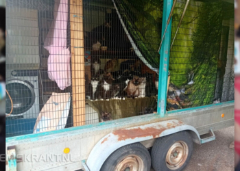 Foto's: Landelijke Inspectiedienst Dierenwelzijn