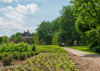 Asingapark in Middelstum Foto: laoslandschap