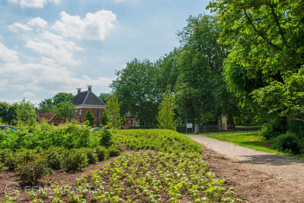 Asingapark in Middelstum Foto: laoslandschap