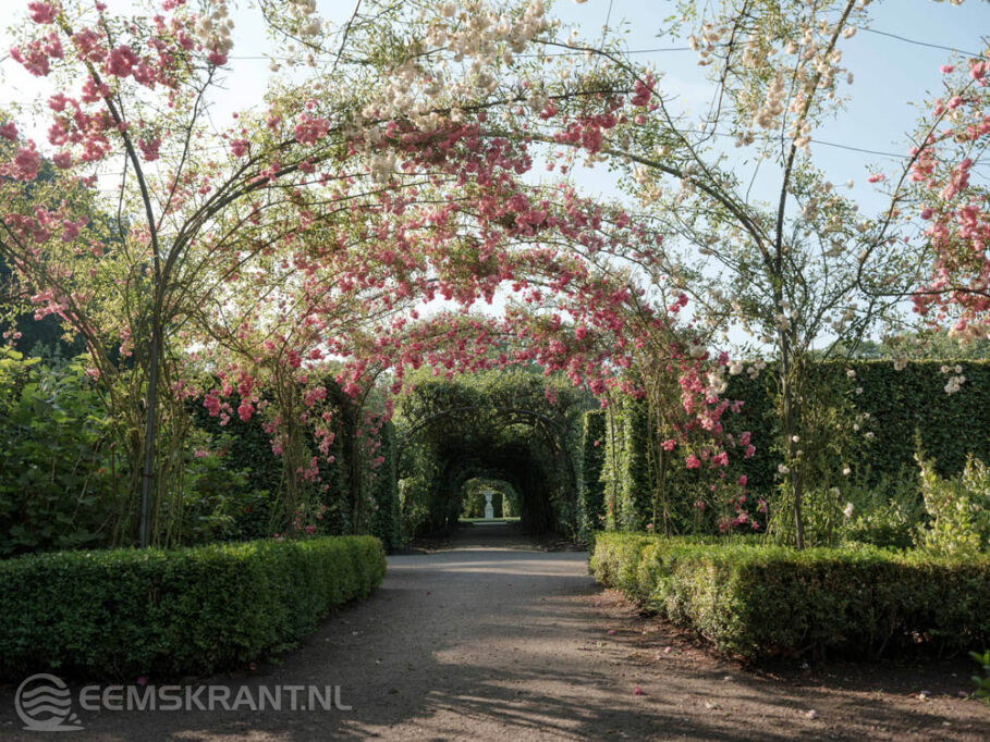 Foto’s: Marieke Kijk in de Vegte