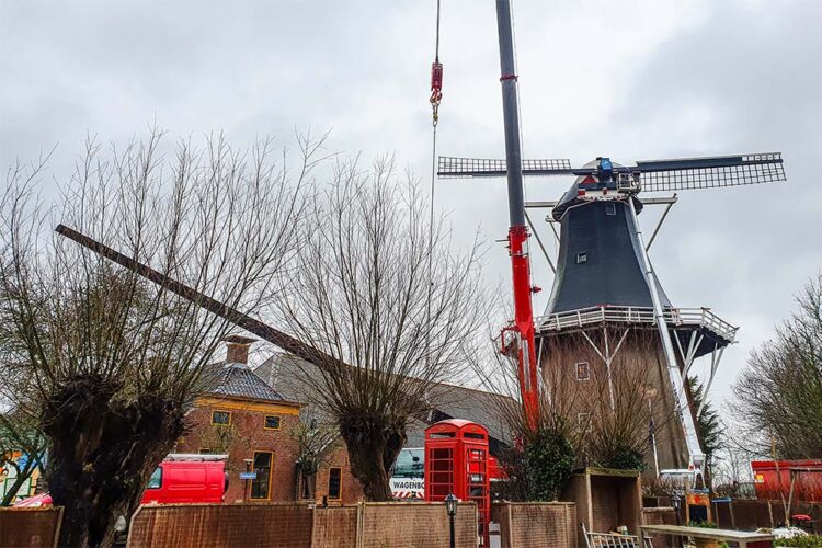 Molen De Lelie Eenrum. Foto: Het Groninger Landschap