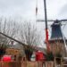 Molen De Lelie Eenrum. Foto: Het Groninger Landschap