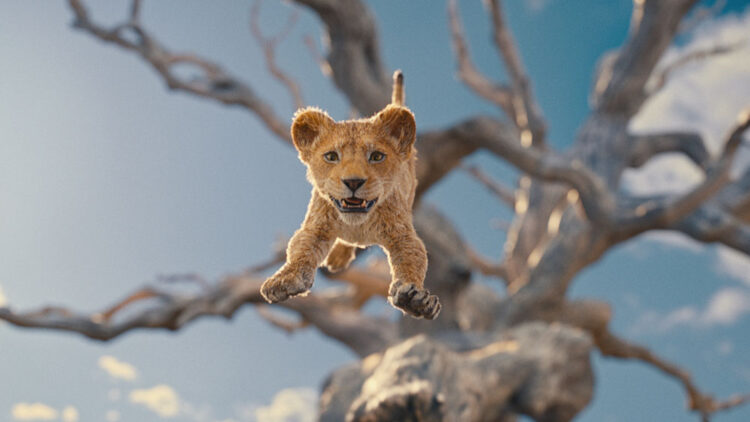 Photo courtesy of Disney. © 2024 Disney Enterprises Inc. All Rights Reserved.