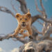 Photo courtesy of Disney. © 2024 Disney Enterprises Inc. All Rights Reserved.