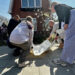 Foto's: Midden-Groningen