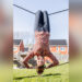 Foto: Marga de groot