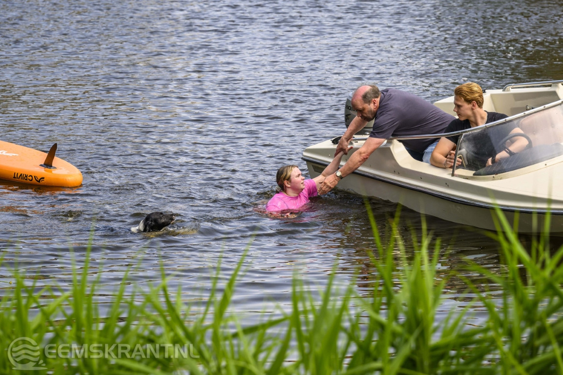 Vermiste hond gered uit Damsterdiep dankzij bijzondere samenwerking