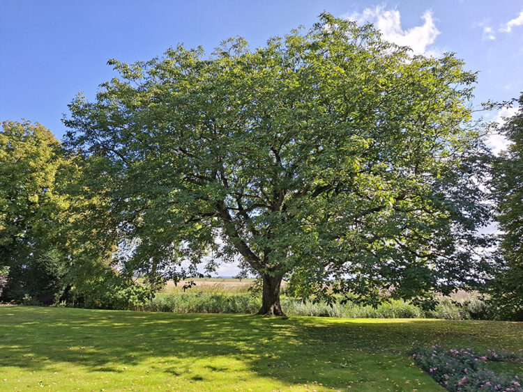 Foto: Albert-Erik de Winter
