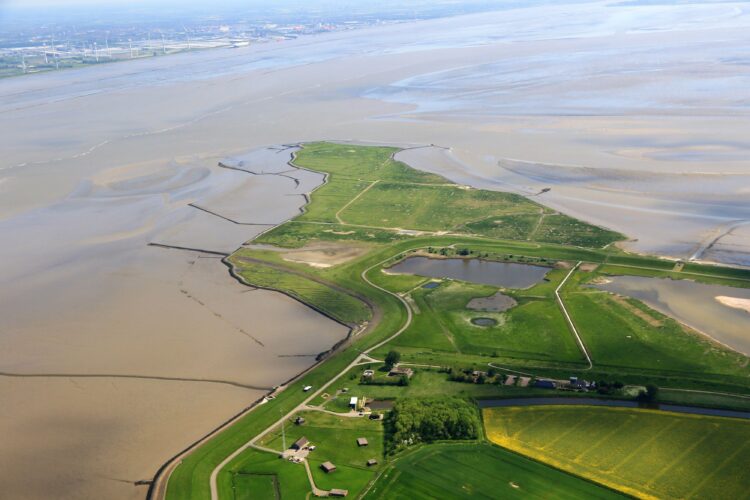 Punt van Reide (foto Het Groninger Landschap).