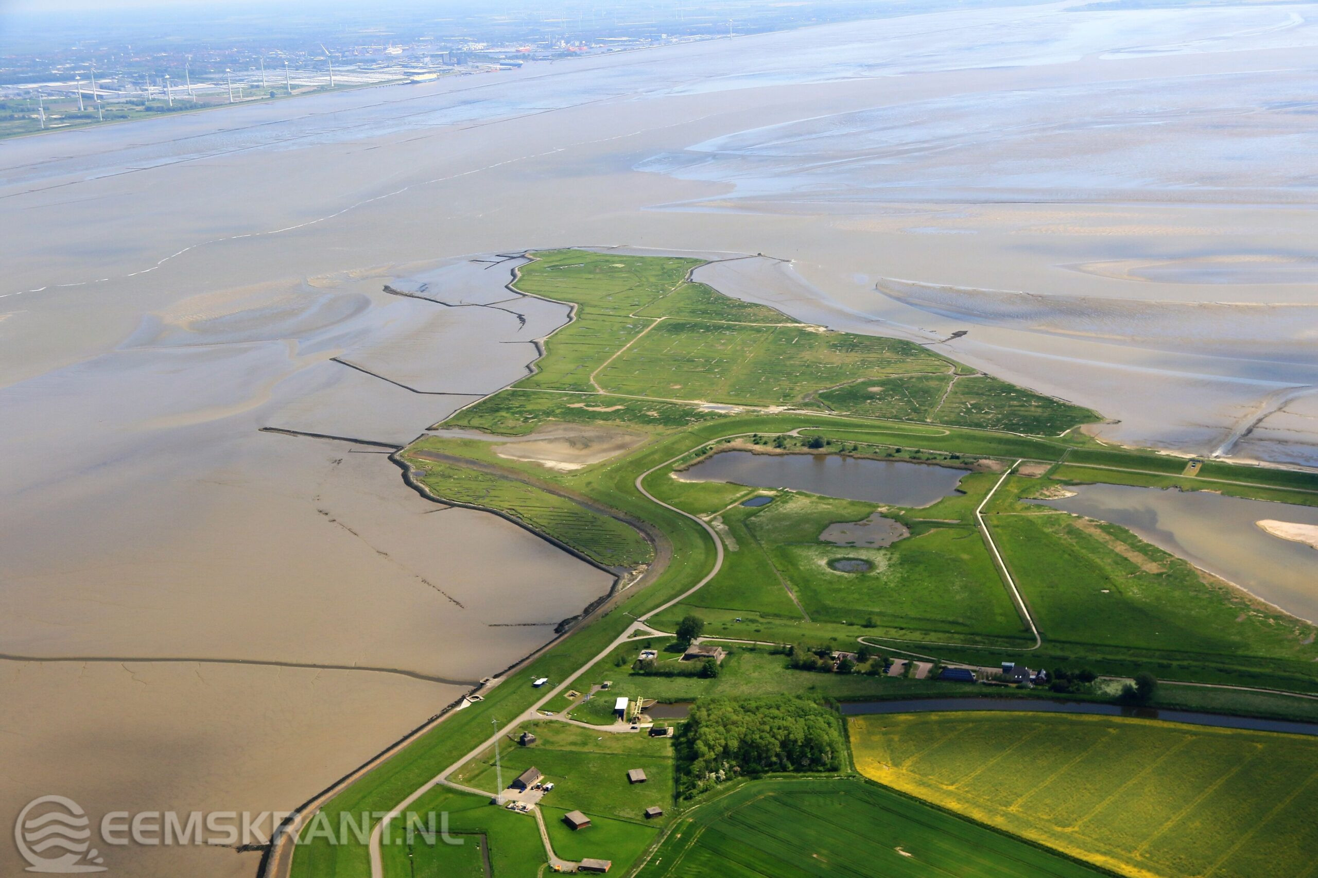 Groninger Landschap organiseert een wandeling naar de Punt van Reide