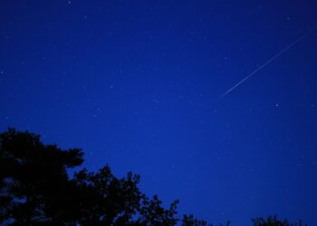 Image by DIE UFOS Agentur für Grafik und Film from Pixabay