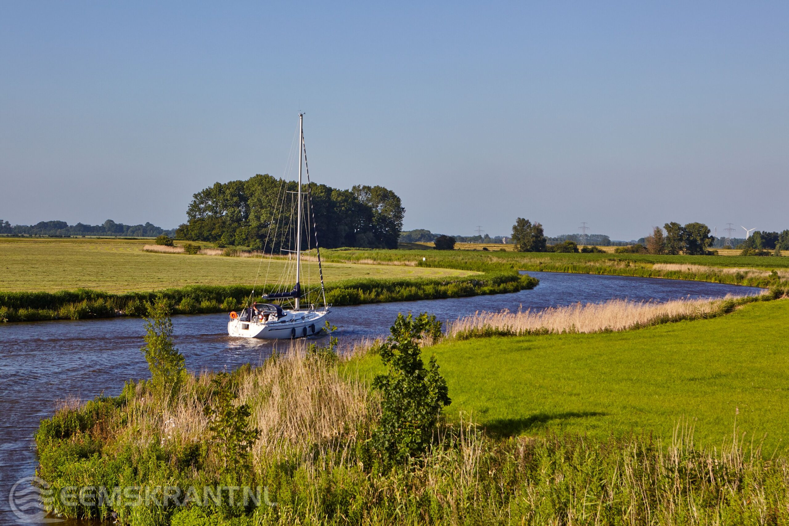 ‘Notarisbosje’ bij Winsum geschonken aan Het Groninger Landschap