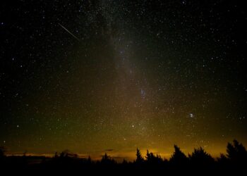 Image by Dumitru Stoica from Pixabay