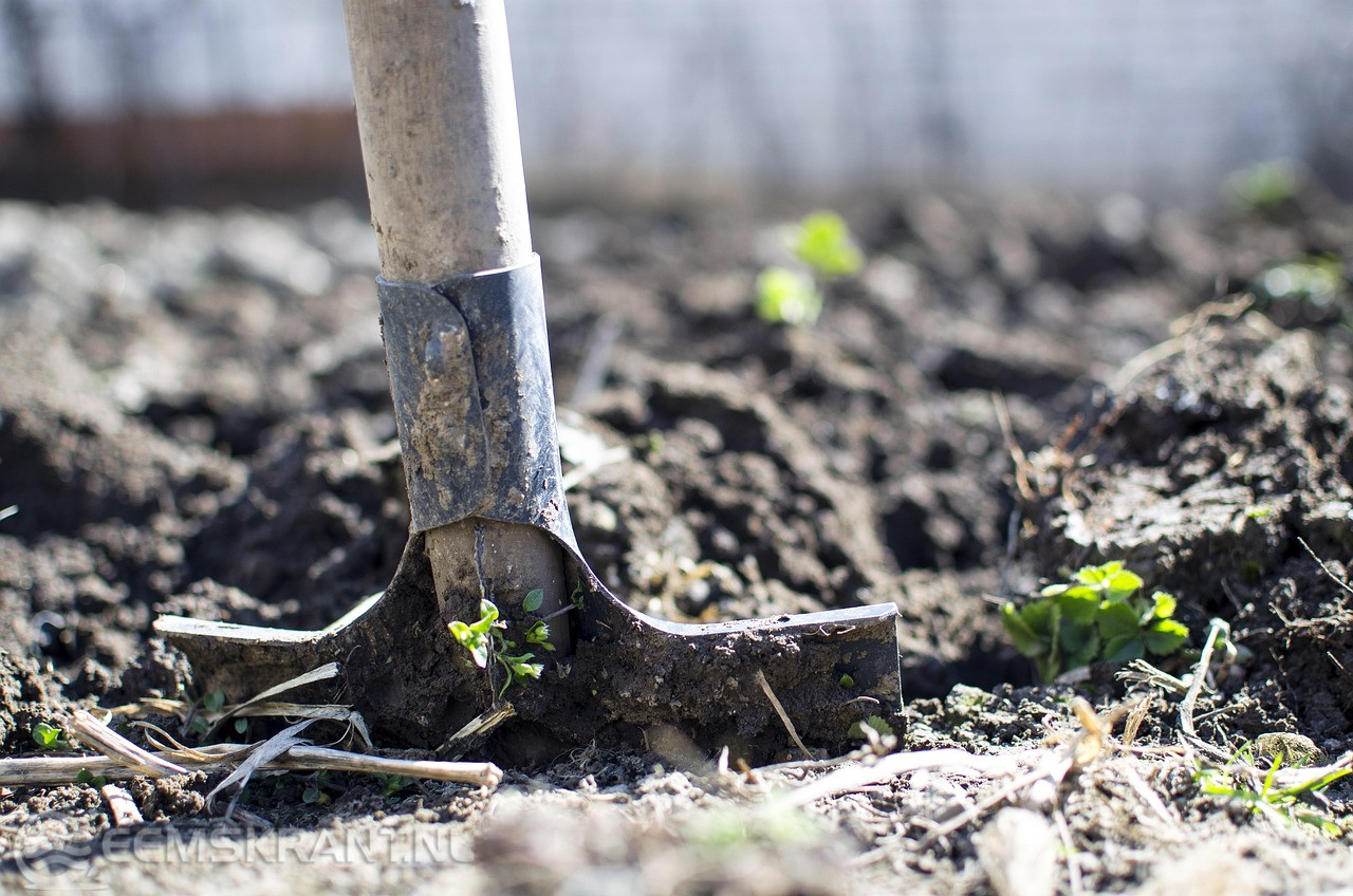 Van tegel naar tuin: thema-avond Steenbreek in Appingedam