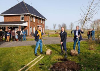 Het planten van bomen door gedeputeerde Leo Wenneger (midden), wethouder Arjen Nolles (Het Hogeland) (links) en wethouder Jan Menninga (Eemsdelta) (rechts) . Foto: Otto Kalkhoven