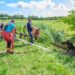 Paard uit sloot gered langs Mozeslaantje in Biessum