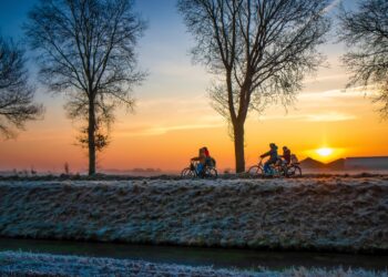 Image by Zachtleven fotografie from Pixabay