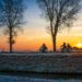 Image by Zachtleven fotografie from Pixabay